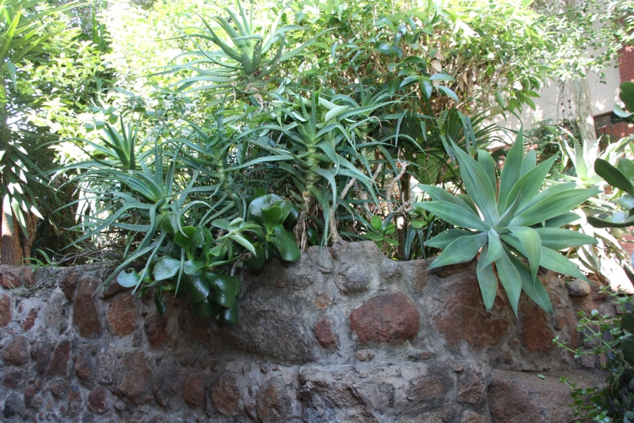 5 Bedroom Property for Sale in Langenhovenpark Free State